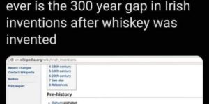 the whiskey age