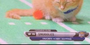 snuggles is never getting that big multi-year contract