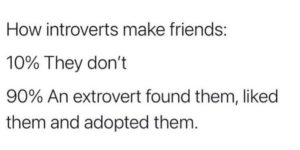 is there a shelter to adopt introverts from?