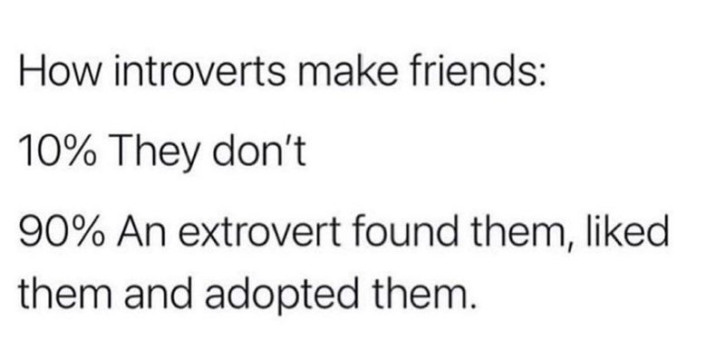 is there a shelter to adopt introverts from?