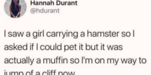 muffin hamster