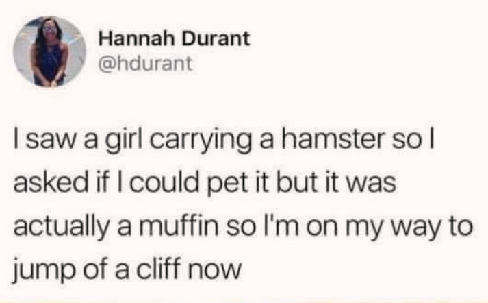muffin hamster