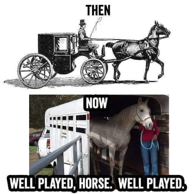 horses are smarter than humans