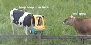 uber here