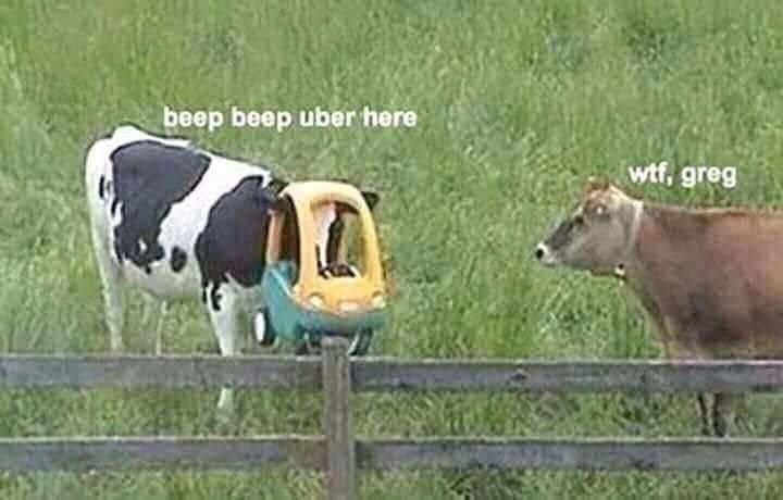 uber here