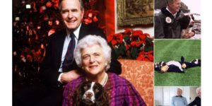 George Herbert Walker Bush will be missed by his furry friends too.