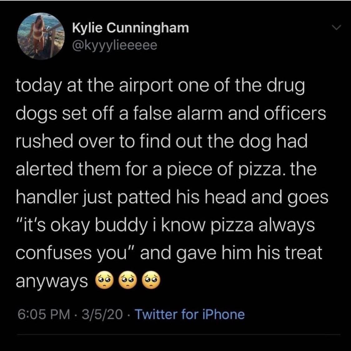 pizza pup
