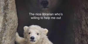 Librarians love you.