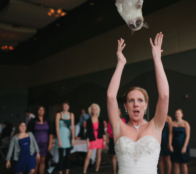 Bouquets Replaced With Cats Make Me Happy