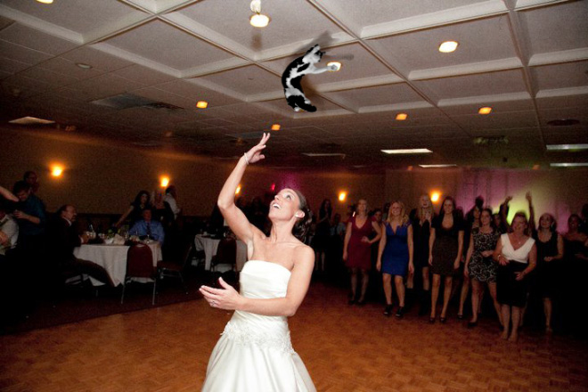 Bouquets Replaced With Cats Make Me Happy
