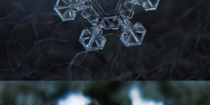 Homemade+Macro+Lens+Takes+Snowflake+Closeups