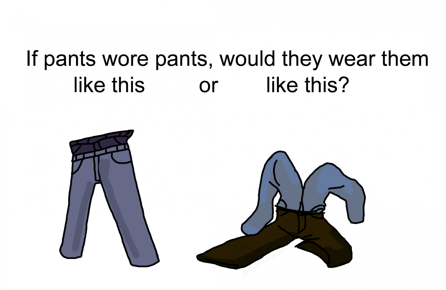 If you give a cat a pant and other such dilemmas.