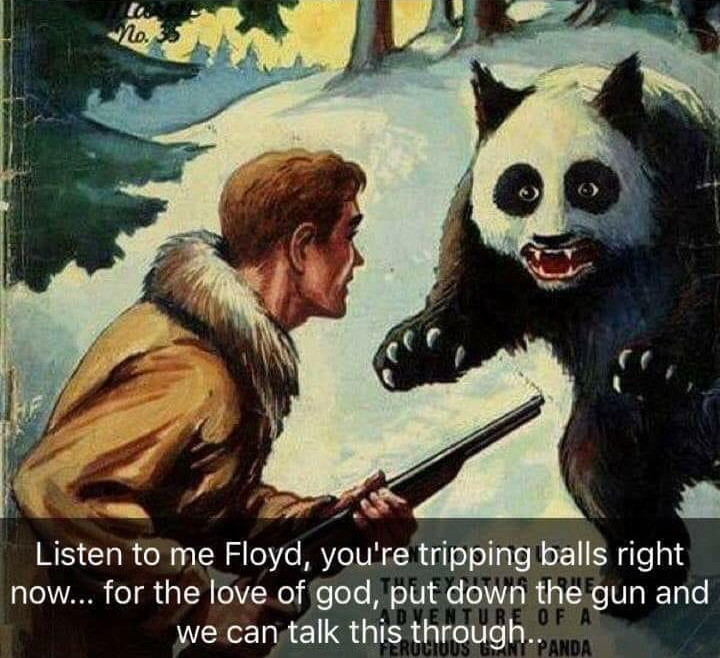 Goddammit Floyd, put the gun down!
