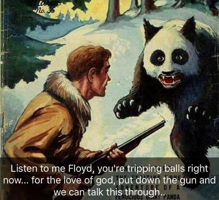 Goddammit Floyd, put the gun down!