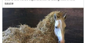 Astray in the hay