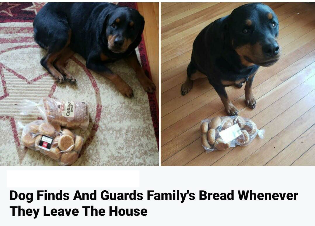 Guardian of the bread.