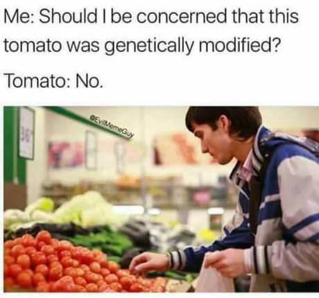 Should I be concerned about GMO tomatoes?