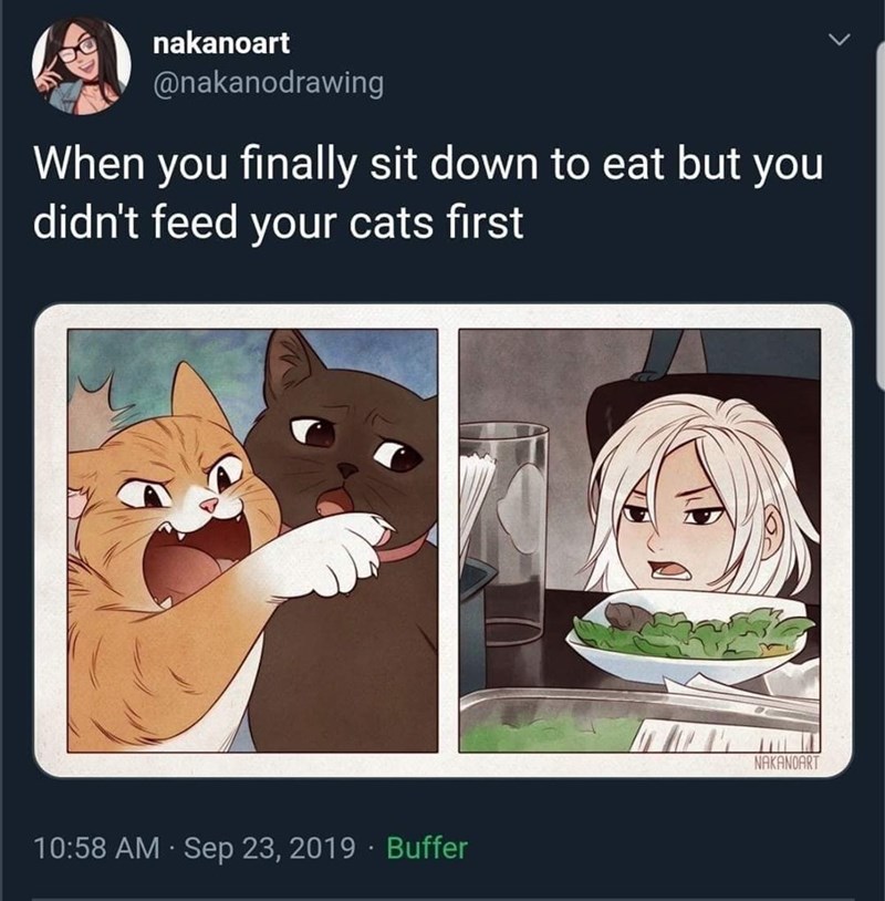 Kitties always eat first