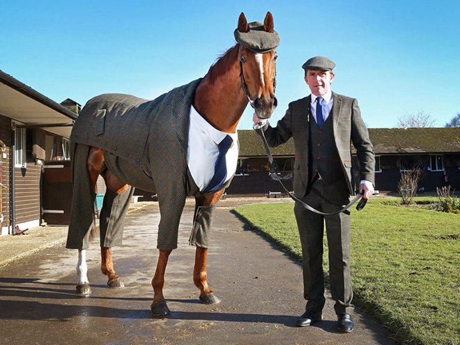 It's not every day you see a horse in a three-piece suit.