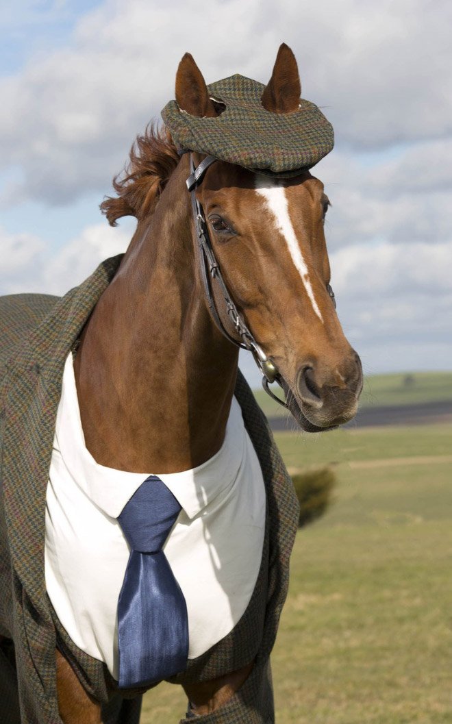 It's not every day you see a horse in a three-piece suit.