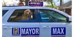 I’m voting for Max