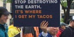 tacos can save the world