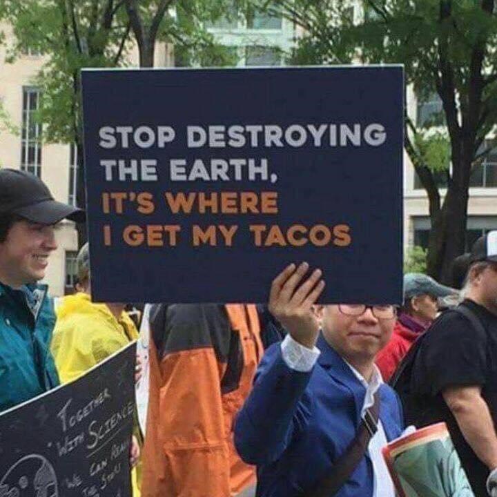 tacos can save the world
