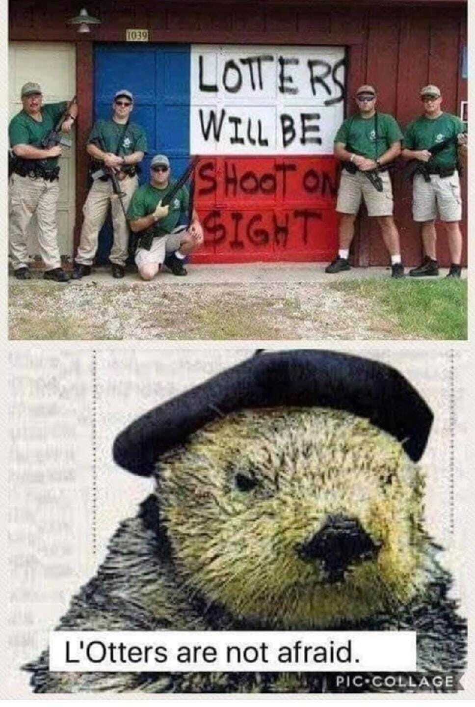 never trust l'otters