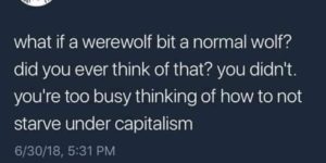 but… but… what happens if a werewolf bites a wolf?