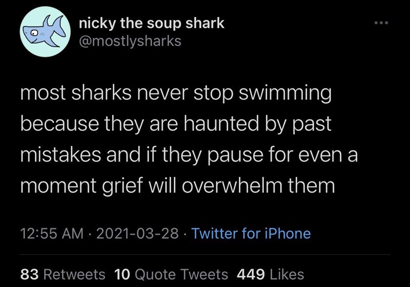 sharks are so relatable