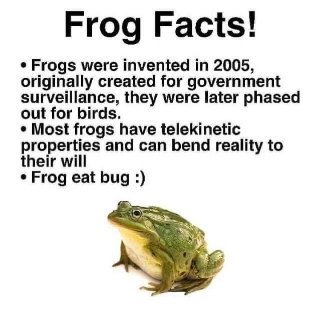 frogs aren't real