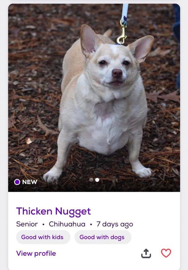 thicken nugget