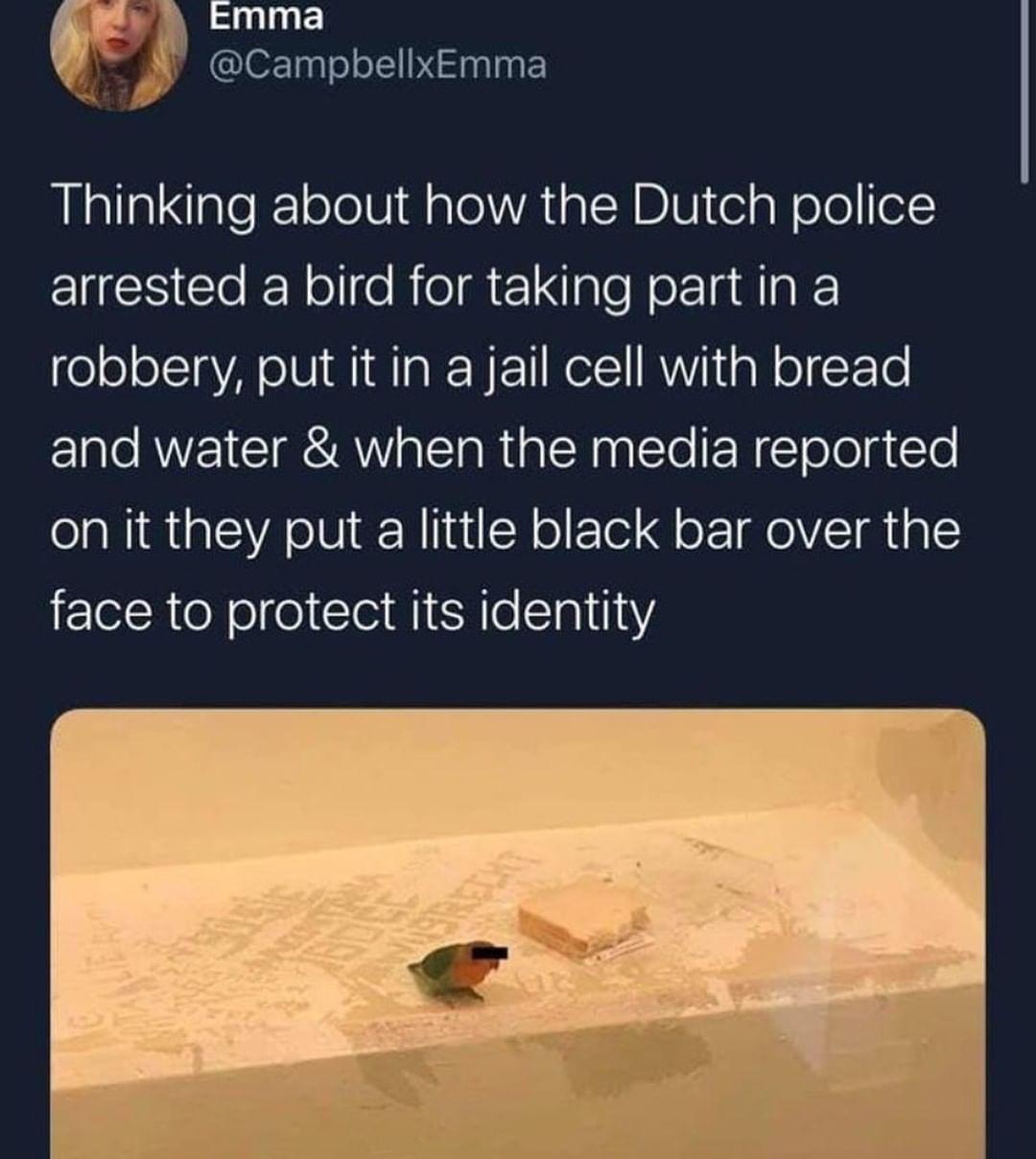 the bird had a right to privacy