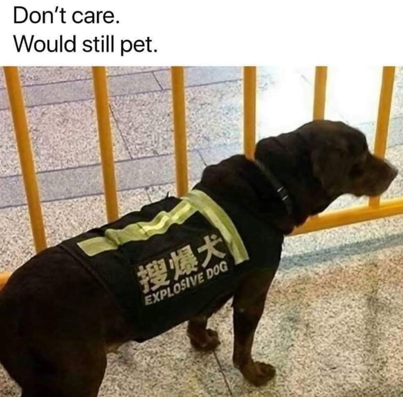 100 percent would still pet