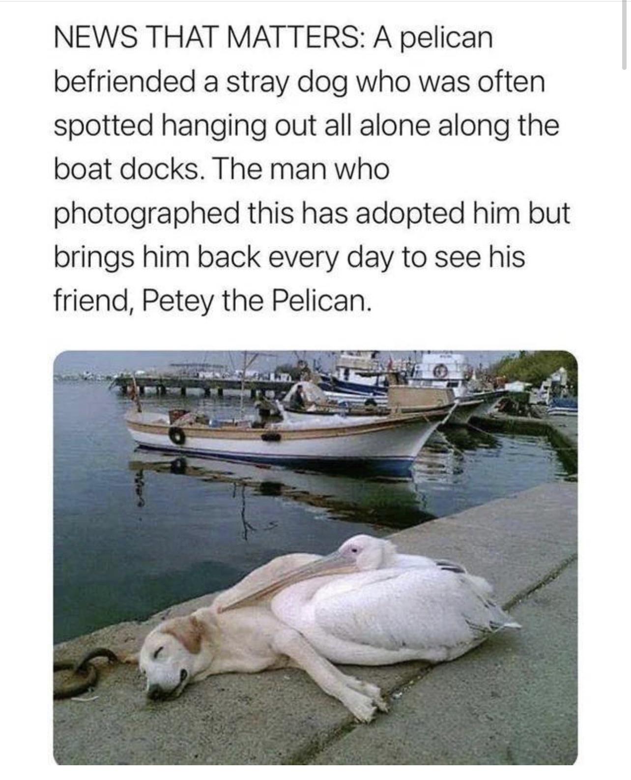 stories don't get much more heartwarming than this