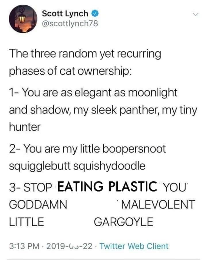 plastic eating boopersnoot panther