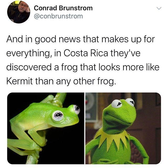 kermit had kids