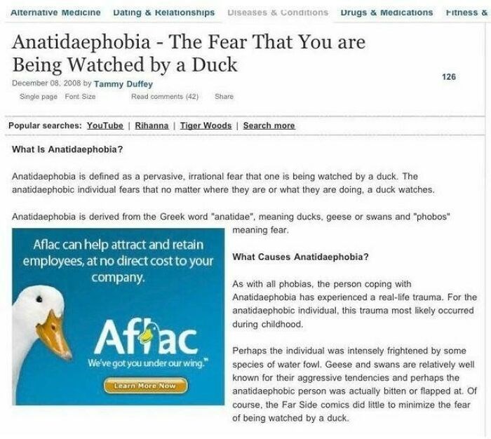the ducks are onto you