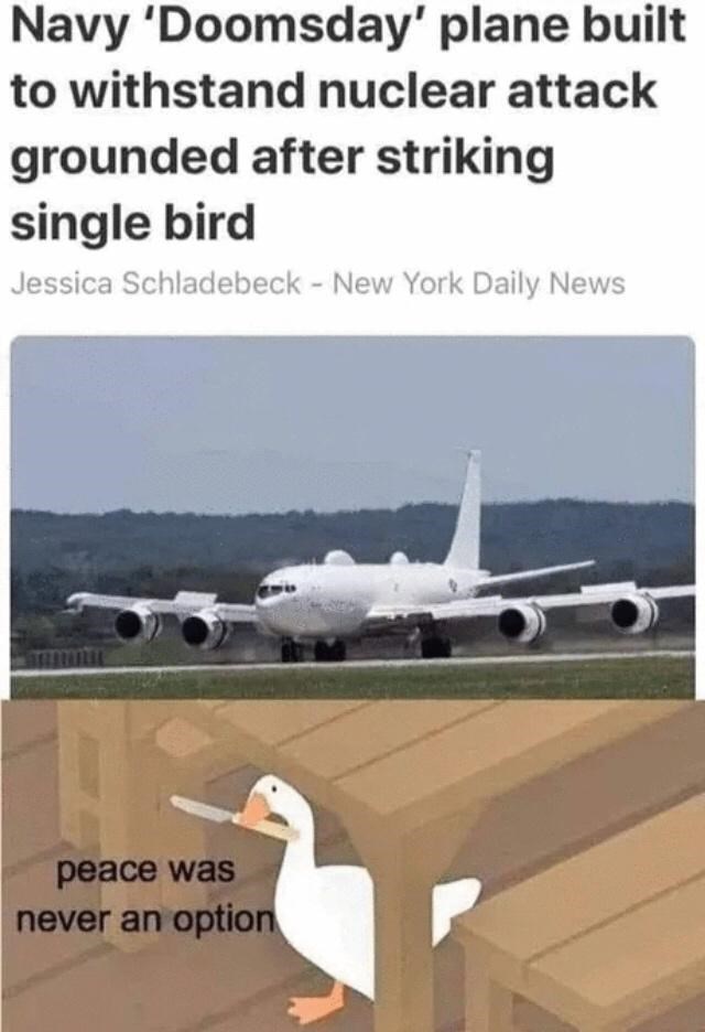 birds are deadlier than bombs