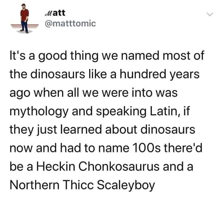 id be okay with a dino called the heckin chonkosaurus, i don't know about you