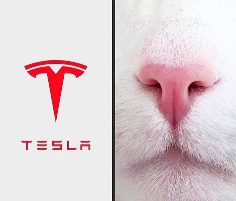 so it's not a 't' for Tesla. fascinating