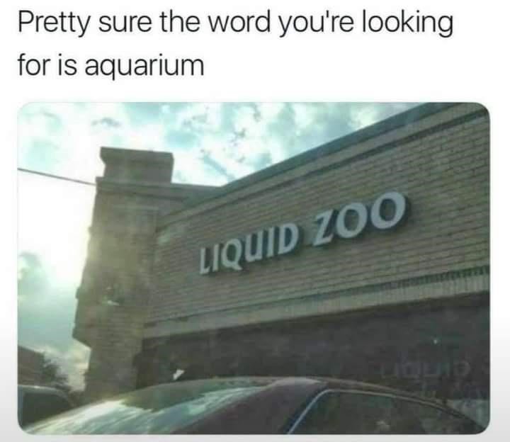 liquid zoo