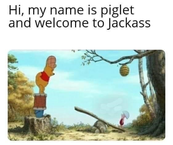 this can only end in hilarity