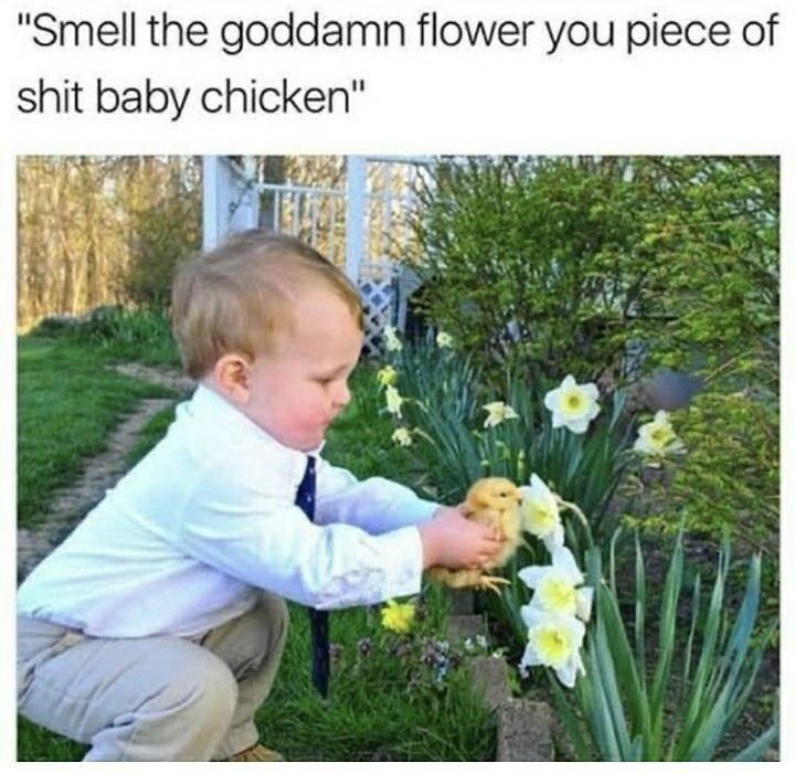 don't they smell amazing?