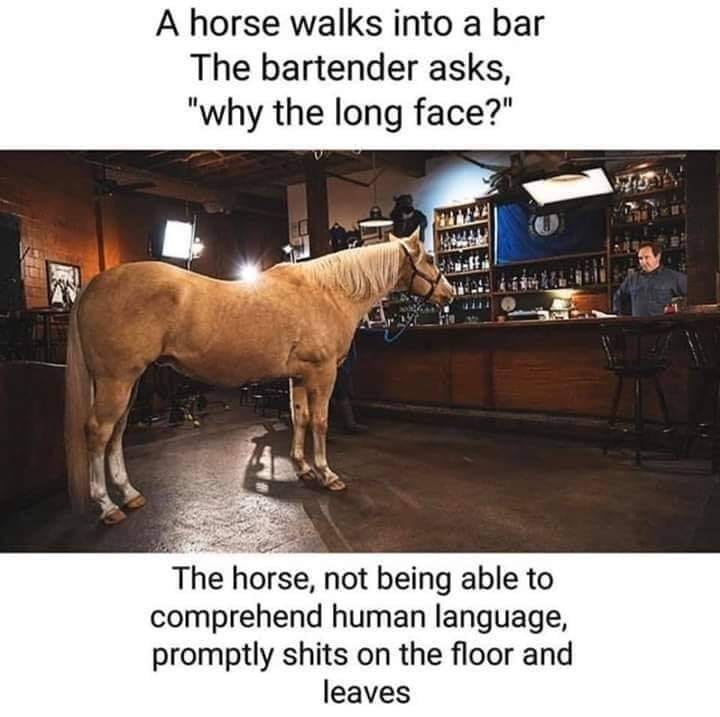 this joke is horseshit