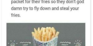 this is brilliant