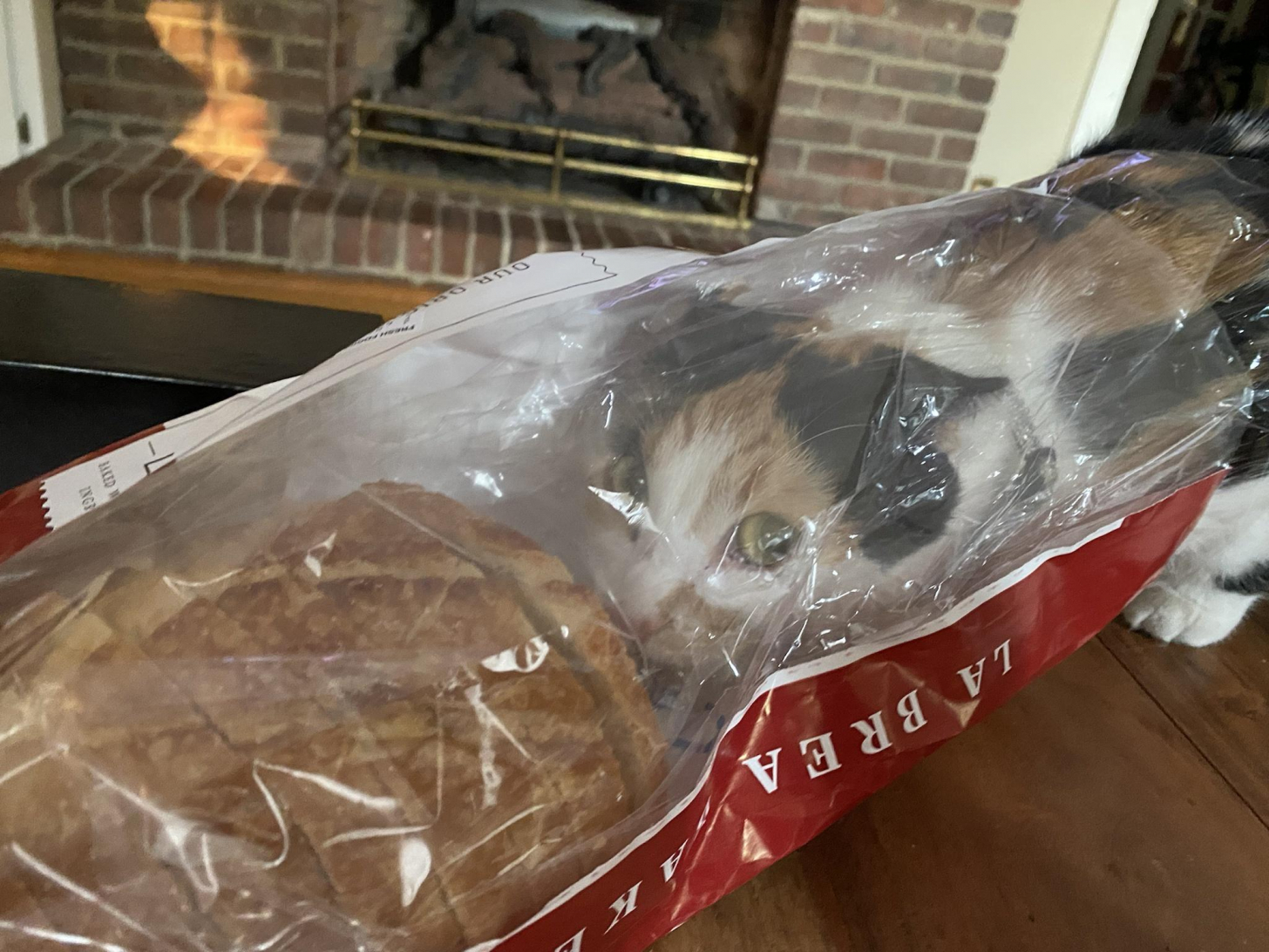 caught bread-handed