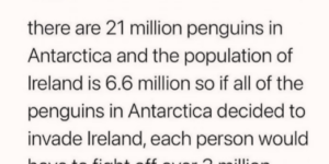 Ireland+wouldn%26%238217%3Bt+stand+a+chance