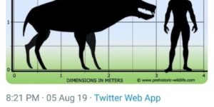 30-50 feral hogs