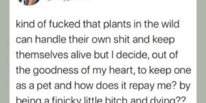 wild plant life vs domesticated plant life